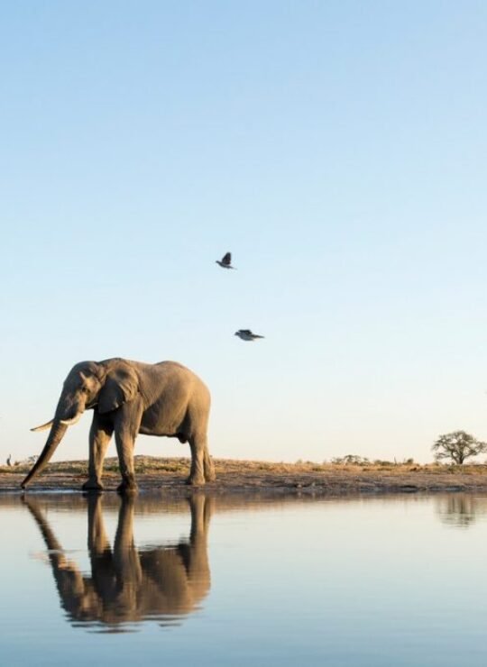 Songwe